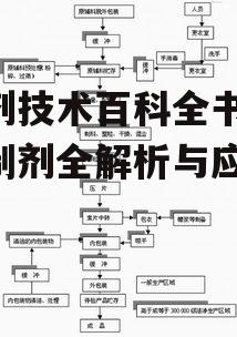 三、制剂工艺流程解析