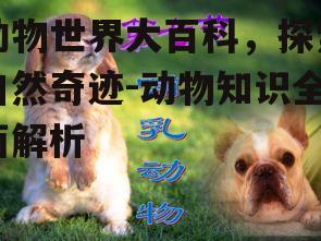 动物世界大百科，探索自然奇迹-动物知识全面解析