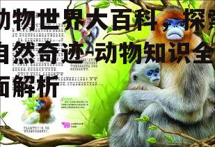 三、爬行动物的秘密