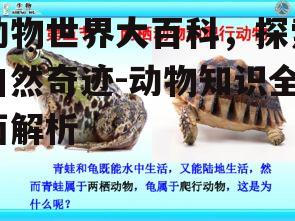 四、两栖动物的世界