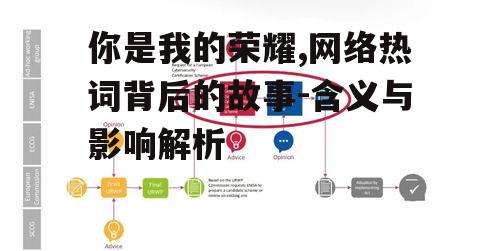 三、网络影响与传播