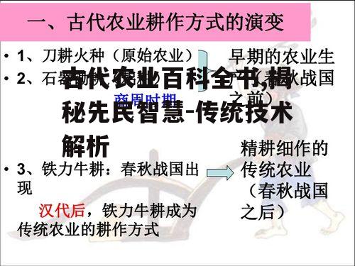 古代农业百科全书,揭秘先民智慧-传统技术解析