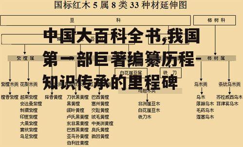 三、内容结构与学科覆盖