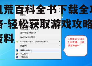 二、选择合适的下载平台