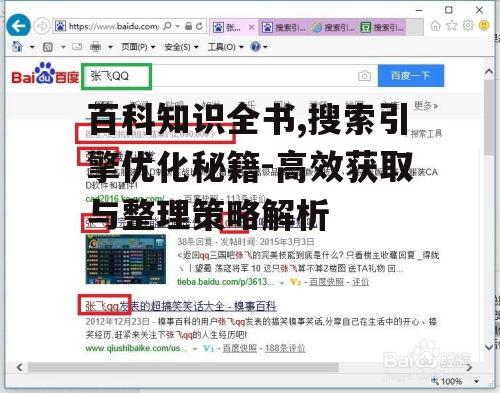 三、利用搜索引擎的高级搜索技巧