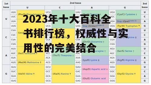 2023年十大百科全书排行榜，权威性与实用性的完美结合