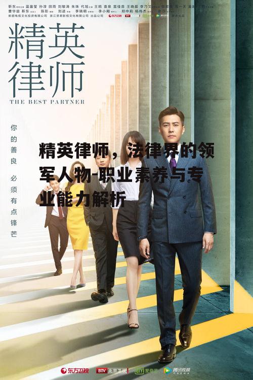 二、精英律师的专业能力展现