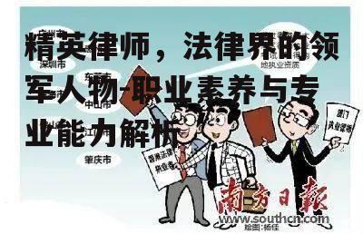 四、精英律师面临的挑战与机遇