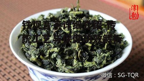 铁观音茶详细介绍-传统工艺与保健功效解析