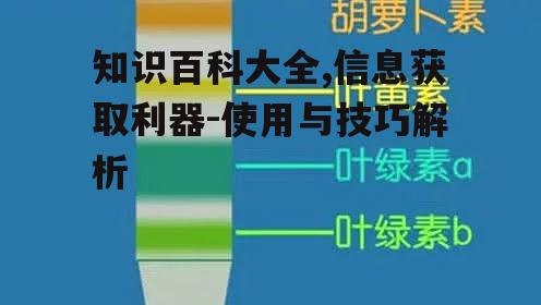 四、知识百科大全与教育的结合