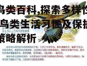 鸟类百科,探索多样性-鸟类生活习性及保护策略解析