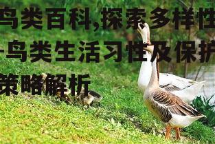 三、鸟类的繁殖与育雏