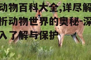 二、动物百科的使用方法
