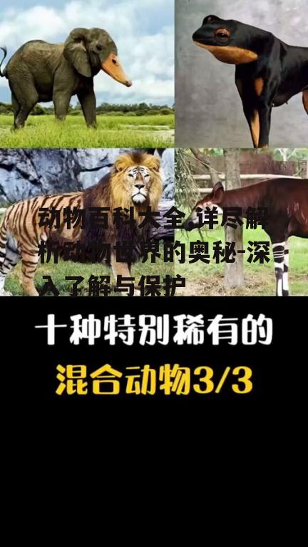 三、动物百科中的珍稀动物