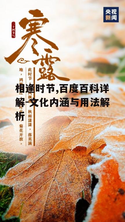相逢时节,百度百科详解-文化内涵与用法解析