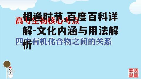四、相逢时节与人际关系的探讨