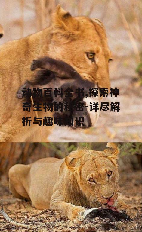 动物百科全书,探索神奇生物的秘密-详尽解析与趣味知识