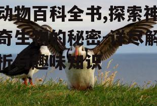 二、鸟类的天空奇幻之旅