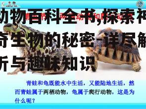 四、两栖动物的生存奥秘
