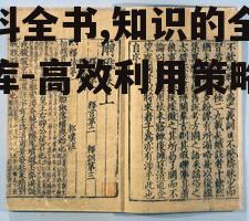 百科全书,知识的全面宝库-高效利用策略解析