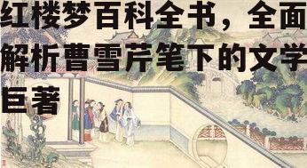 红楼梦百科全书，全面解析曹雪芹笔下的文学巨著