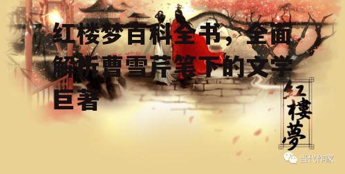 四、红楼梦与社会思想的碰撞