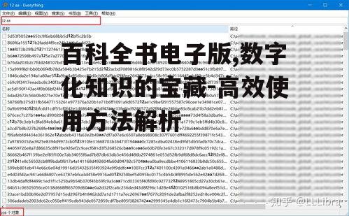 三、高效搜索技巧
