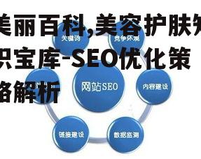 二、关键词优化策略