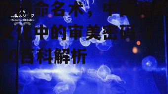 四、夜晚命名的文化意义