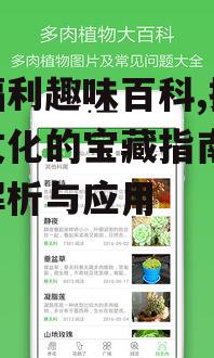 四、宅福利趣味百科与社交互动