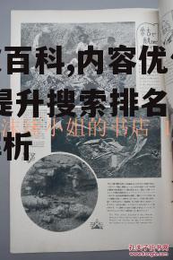 四、深度内容创作