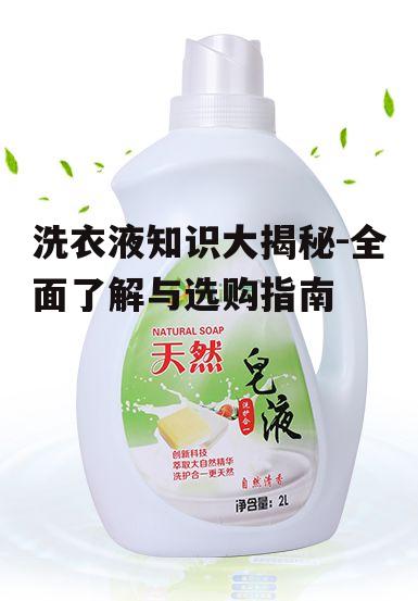 二、洗衣液的种类与特点