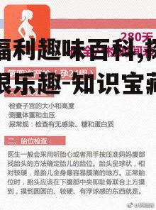 三、宅福利趣味百科的实用价值
