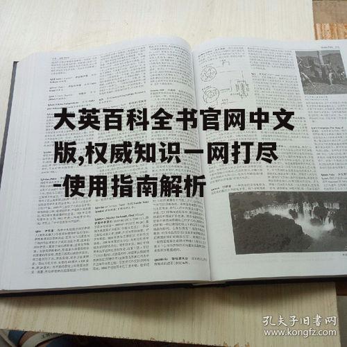 大英百科全书官网中文版,权威知识一网打尽-使用指南解析