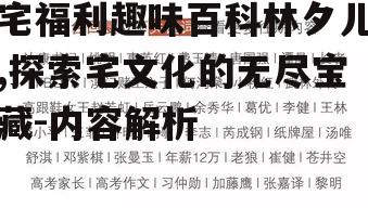 宅福利趣味百科林夕儿,探索宅文化的无尽宝藏-内容解析