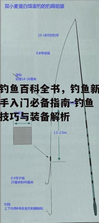 钓鱼百科全书，钓鱼新手入门必备指南-钓鱼技巧与装备解析