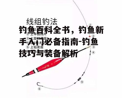 二、钓鱼技巧解析