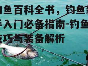 三、钓鱼装备选择