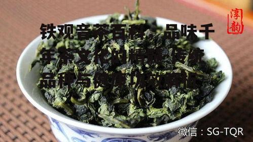 铁观音茶百科，品味千年茶文化的精髓-传统品种与健康功效解析