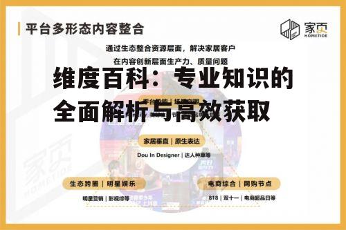 四、维度百科的用户互动与社区建设