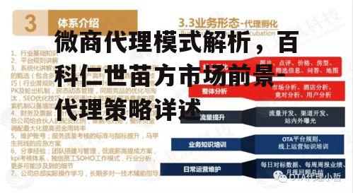 微商代理模式解析，百科仁世苗方市场前景-代理策略详述