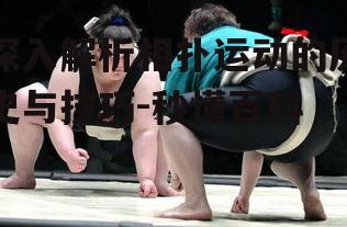 深入解析相扑运动的历史与技巧-秒懂百科