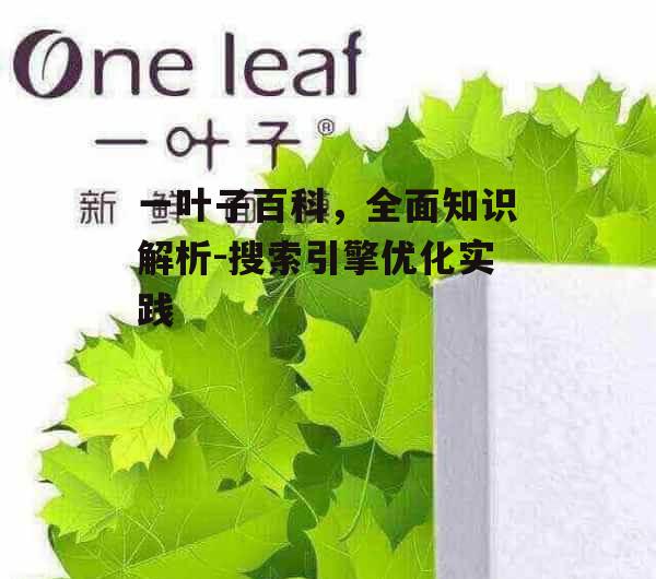 一叶子百科，全面知识解析-搜索引擎优化实践