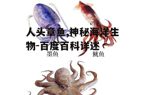 人头章鱼,神秘海洋生物-百度百科详述