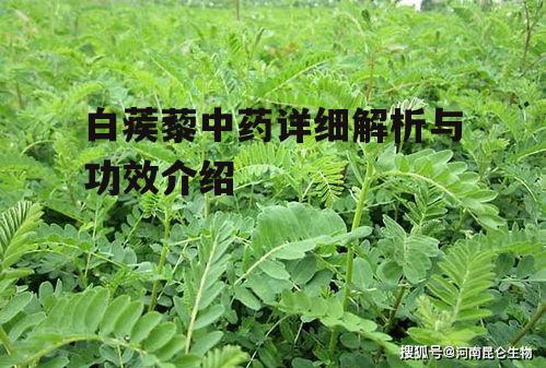 二、白蒺藜的功效与应用
