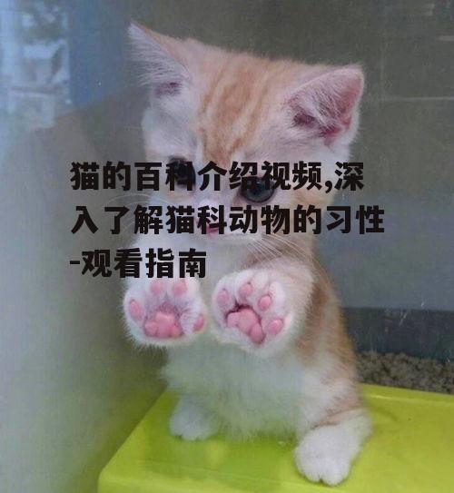 猫的百科介绍视频,深入了解猫科动物的习性-观看指南