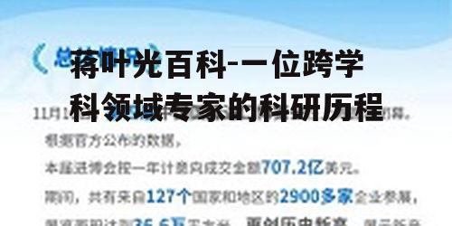 四、国际合作与影响