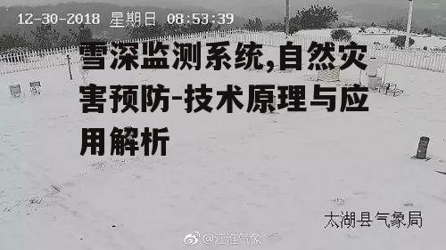 四、雪深监测系统的重要性
