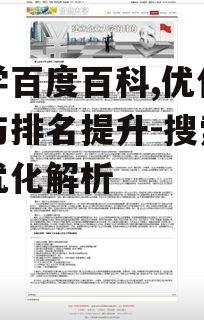 大学百度百科,优化策略与排名提升-搜索引擎优化解析