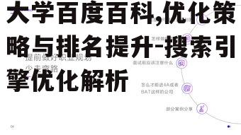 二、大学百度百科的优化策略